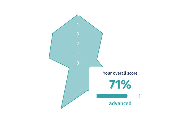 CX maturity assessment across 9 dimensions