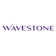 Logo_Partner-Wavestone_2024_transpBackground